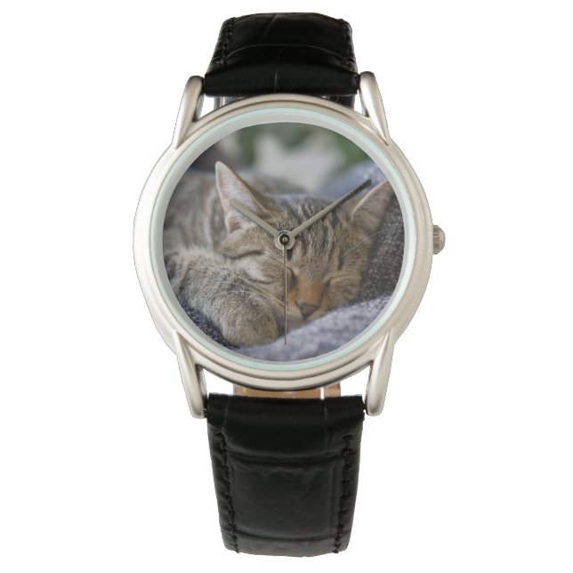 Cutest Baby djur | Tabby Kitten Sleeping Armbandsur (Framsida)