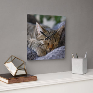 Cutest Baby djur Tabby Kitten Sleeping Fyrkantig Klocka