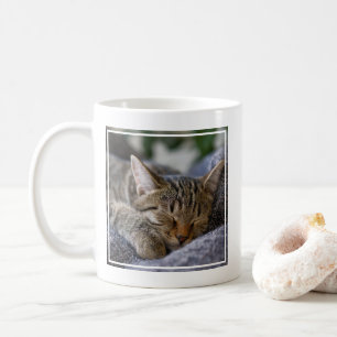 Cutest Baby djur Tabby Kitten Sleeping Kaffemugg