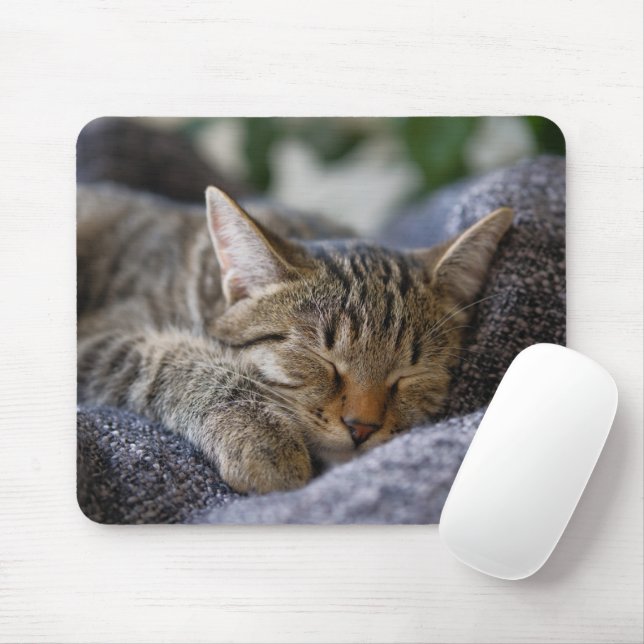 Cutest Baby djur | Tabby Kitten Sleeping Musmatta (Med mus)