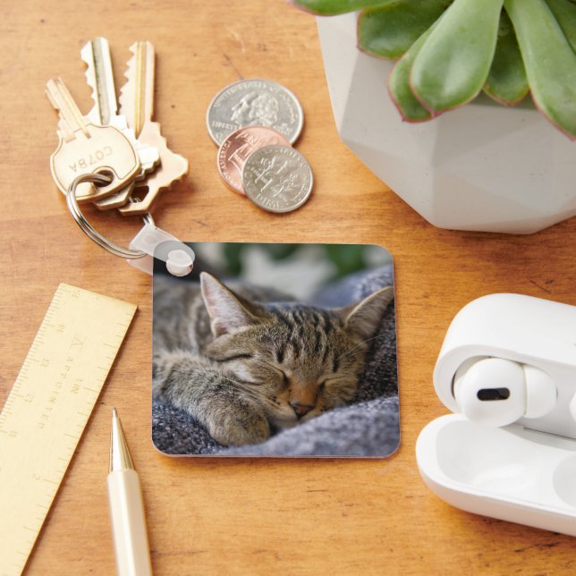 Cutest Baby djur | Tabby Kitten Sleeping Nyckelring (Skrivbord)