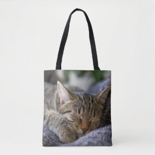 Cutest Baby djur   Tabby Kitten Sleeping Tygkasse