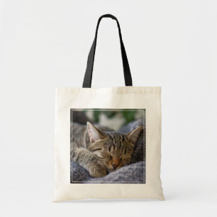 Cutest Baby djur Tabby Kitten Sleeping Tygkasse