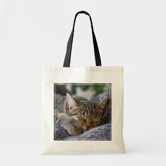 Cutest Baby djur | Tabby Kitten Sleeping Tygkasse (Framsidan)