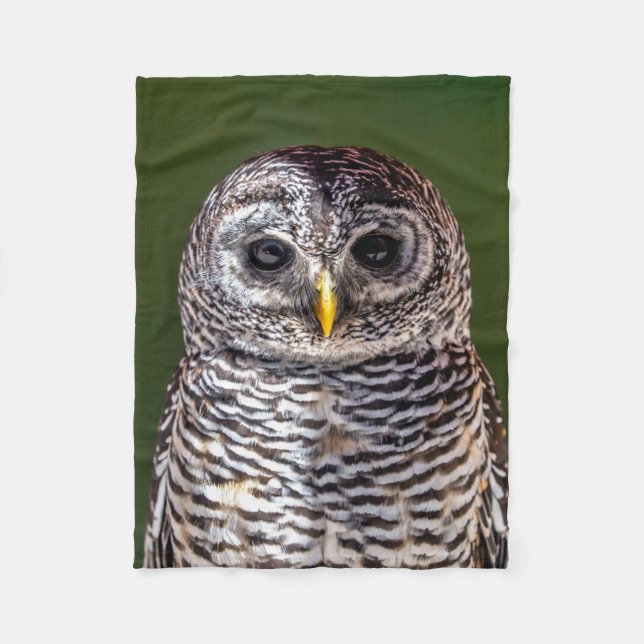 Cutest Baby djur | Tawny Uggla Fleecefilt (Framsidan)