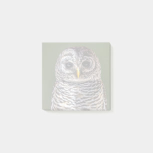 Cutest Baby djur Tawny Uggla Post-it Block