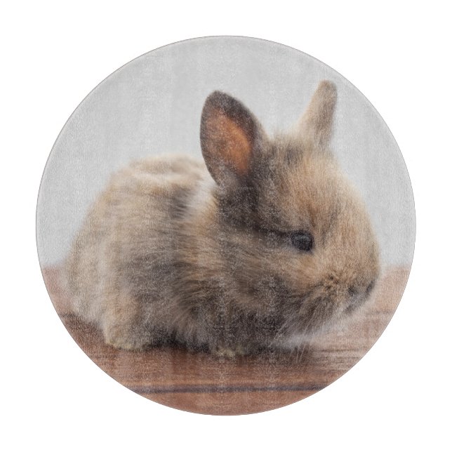 Cutest Baby djur | Tiny Baby Bunny (Framsidan)