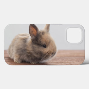 Cutest Baby djur Tiny Baby Bunny