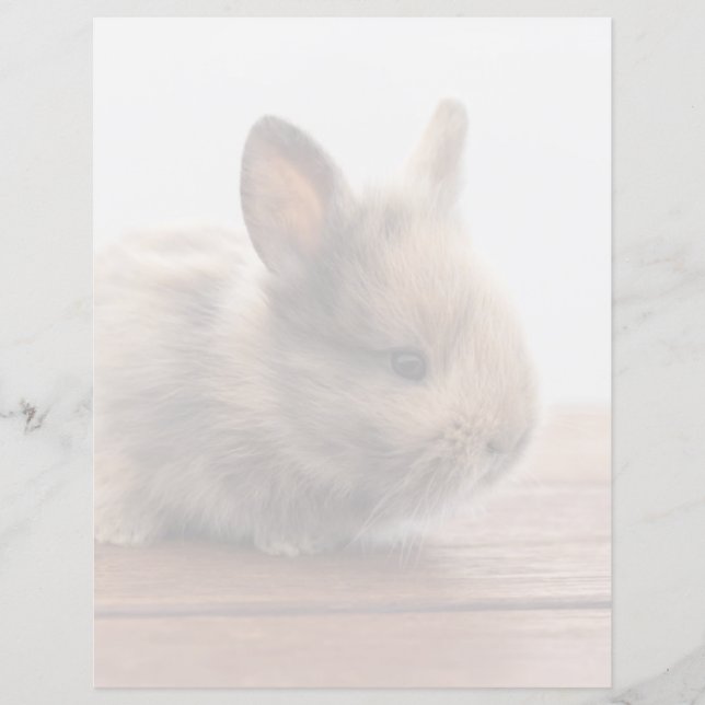 Cutest Baby djur | Tiny Baby Bunny (Framsida)