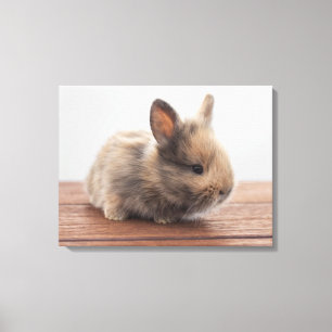 Cutest Baby djur Tiny Baby Bunny Canvastryck