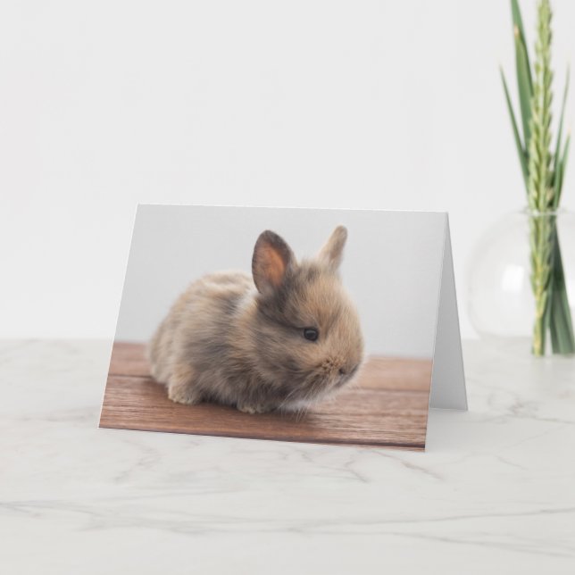 Cutest Baby djur | Tiny Baby Bunny Kort (Framsida)