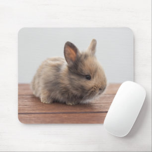 Cutest Baby djur Tiny Baby Bunny Musmatta