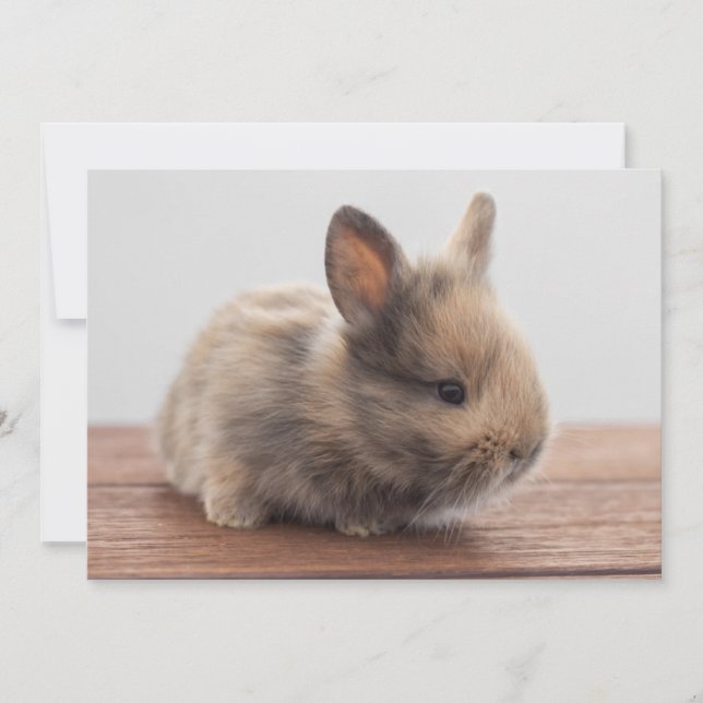 Cutest Baby djur | Tiny Baby Bunny Tack Kort (Framsida)
