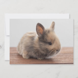Cutest Baby djur Tiny Baby Bunny Tack Kort