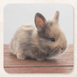 Cutest Baby djur Tiny Baby Bunny Underlägg Papper Kvadrat