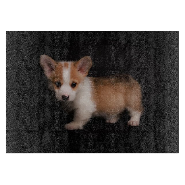 Cutest Baby djur | Tiny Corgi (Framsidan)