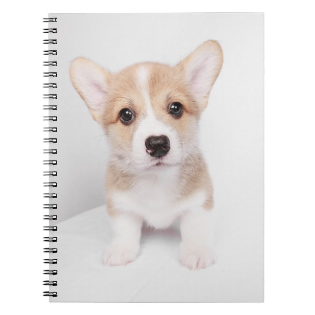 Cutest Baby djur | Tiny Corgi Anteckningsbok (Framsidan)