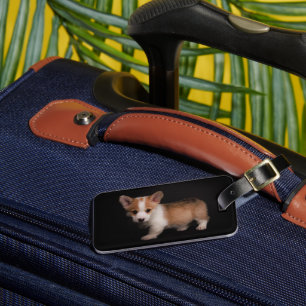 Cutest Baby djur   Tiny Corgi Bagagebricka