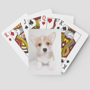 Cutest Baby djur Tiny Corgi Casinokort