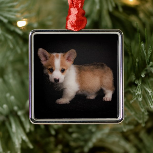 Cutest Baby djur | Tiny Corgi Julgransprydnad Metall (Träd)