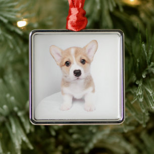 Cutest Baby djur Tiny Corgi Julgransprydnad Metall