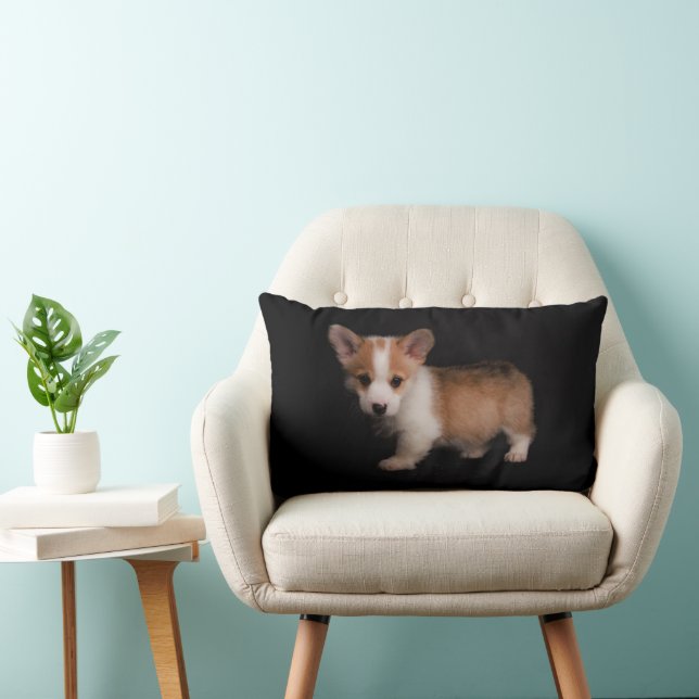 Cutest Baby djur | Tiny Corgi Lumbarkudde (Stol)