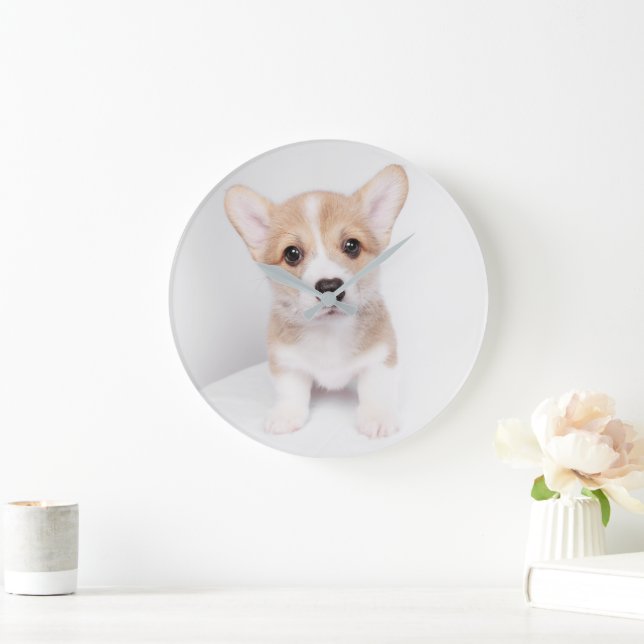 Cutest Baby djur | Tiny Corgi Stor Klocka (Hem)