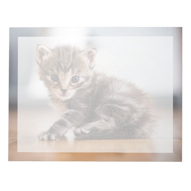 Cutest Baby djur | Tiny Tabby Kitten Anteckningsblock (Framsida)