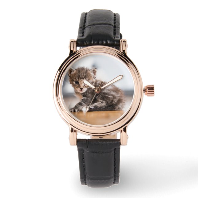 Cutest Baby djur | Tiny Tabby Kitten Armbandsur (Framsida)