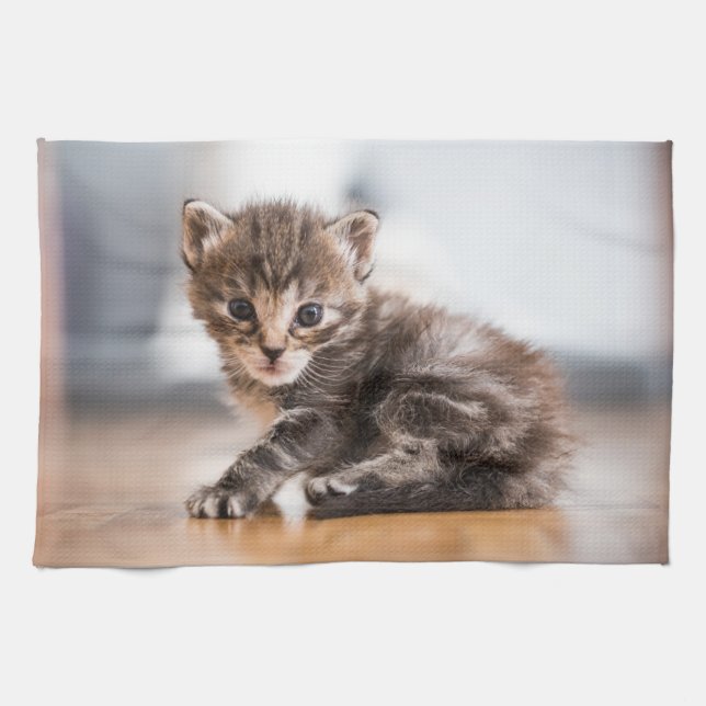 Cutest Baby djur | Tiny Tabby Kitten Kökshandduk (Horisontell)