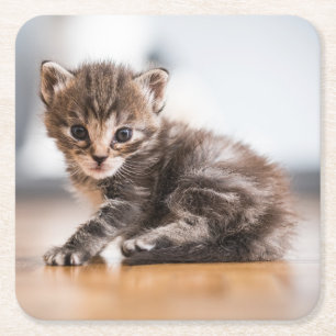 Cutest Baby djur Tiny Tabby Kitten Underlägg Papper Kvadrat