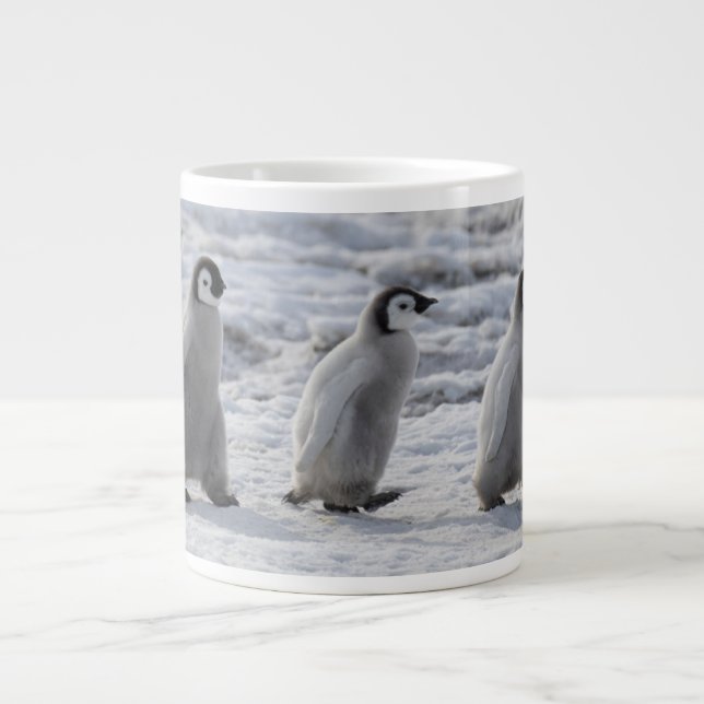 Cutest Baby djur | Tre Chickar av kejsar Penguin Jumbo Mugg (Framsidan)