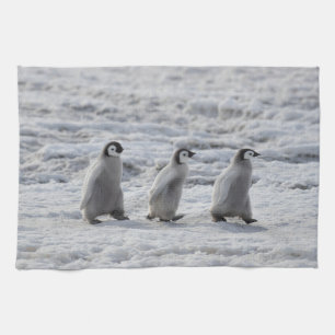 Cutest Baby djur Tre Chickar av kejsar Penguin Kökshandduk