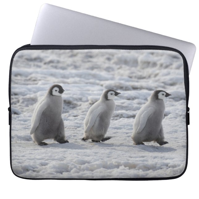 Cutest Baby djur | Tre Chickar av kejsar Penguin Laptop Fodral (Framsidan)