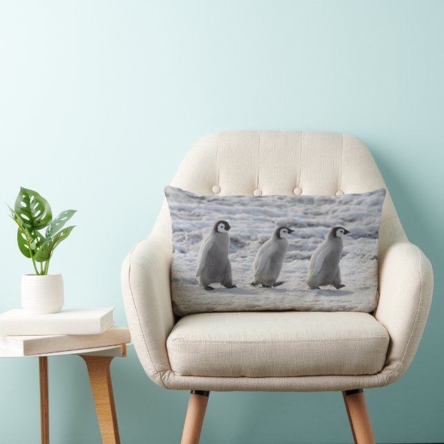 Cutest Baby djur | Tre Chickar av kejsar Penguin Lumbarkudde (Stol)