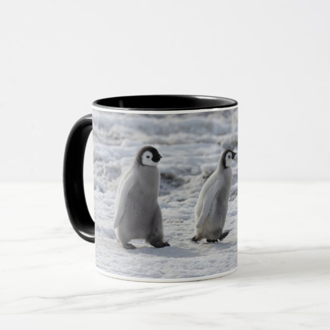 Cutest Baby djur | Tre Chickar av kejsar Penguin Mugg (Framsida vänster)