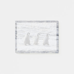 Cutest Baby djur Tre Chickar av kejsar Penguin Post-it Block