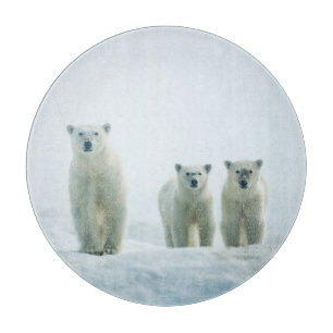 Cutest Baby djur Tre unga Polar