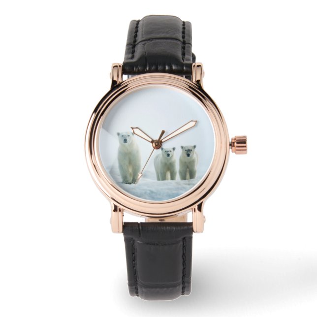 Cutest Baby djur | Tre unga Polar Armbandsur (Framsida)