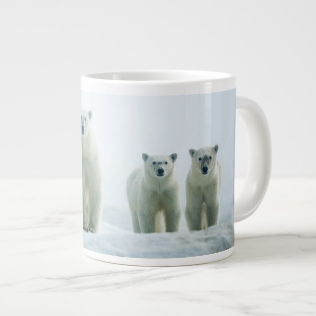 Cutest Baby djur | Tre unga Polar Jumbo Mugg (Framsida höger)