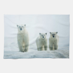 Cutest Baby djur Tre unga Polar Kökshandduk