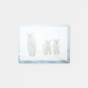 Cutest Baby djur Tre unga Polar Post-it Block