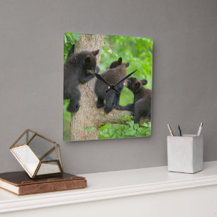 Cutest Baby djur Tre Young Black Bear Unge Fyrkantig Klocka