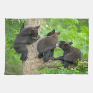 Cutest Baby djur Tre Young Black Bear Unge Kökshandduk