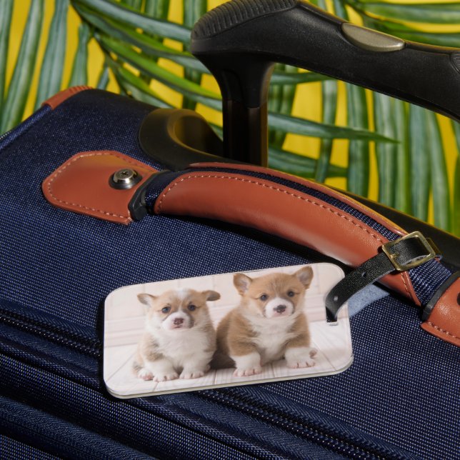 Cutest Baby djur | Två Baby Corgis Sitta Bagagebricka (Framsida Insitu 3)