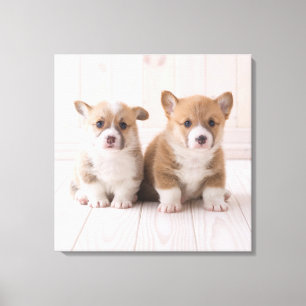Cutest Baby djur   Två Baby Corgis Sitta Canvastryck