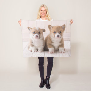 Cutest Baby djur Två Baby Corgis Sitta Fleecefilt