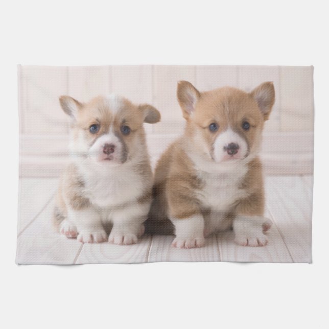 Cutest Baby djur | Två Baby Corgis Sitta Kökshandduk (Horisontell)