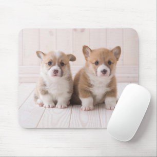 Cutest Baby djur Två Baby Corgis Sitta Musmatta