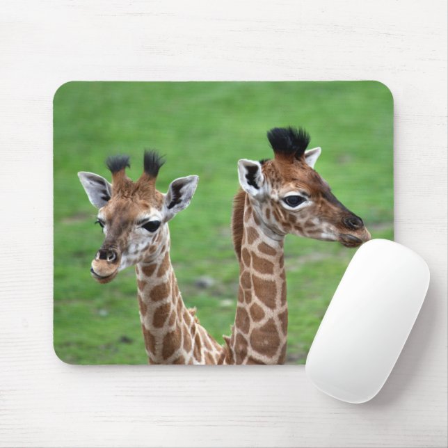 Cutest Baby djur | Två Baby Giraffes Musmatta (Med mus)